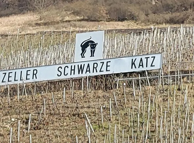 Fewo Siemens Mosel